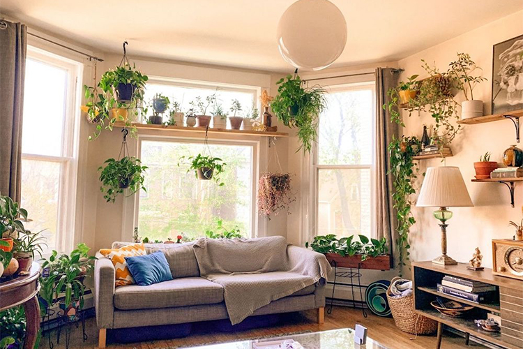 Bohemian living room: 6 ideas to inspire your renovation plans